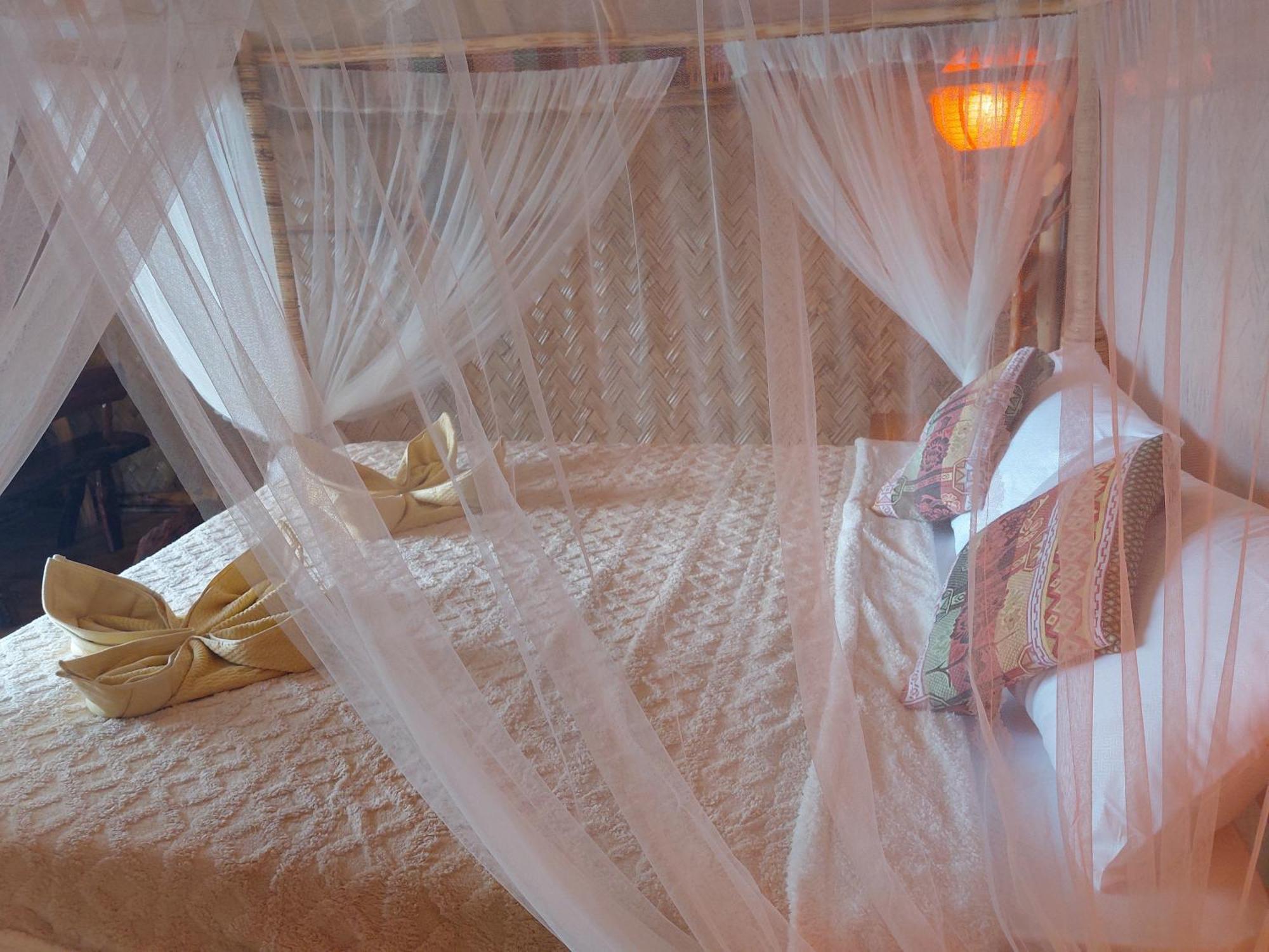 Jungle Bar Honeymoon Suite & Private Pool سان فيسنتي المظهر الخارجي الصورة